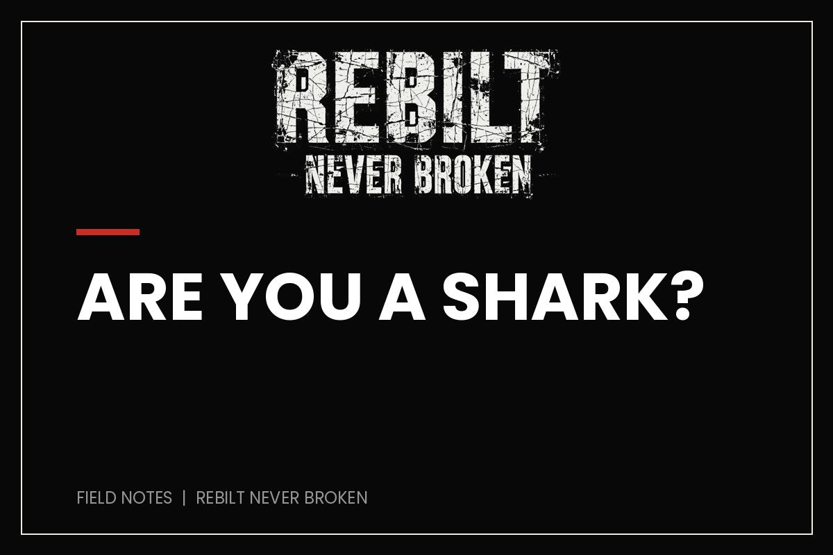 Are You a Shark? - REBILT Never Broken Field Notes